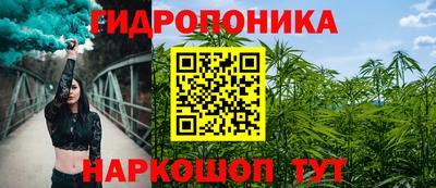 молекула духа Шахты