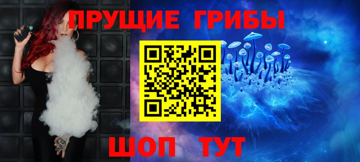 Богданович  Галлюциногенные грибы Magic Shrooms  Вход с VPN  Галлюциногенные грибы мухоморы 